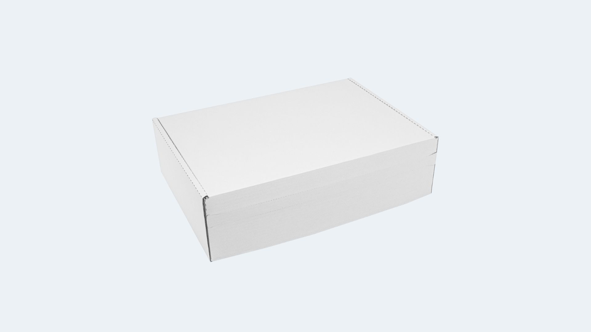 Dispatch box DIN A4 high (315 × 230 × 90 mm)