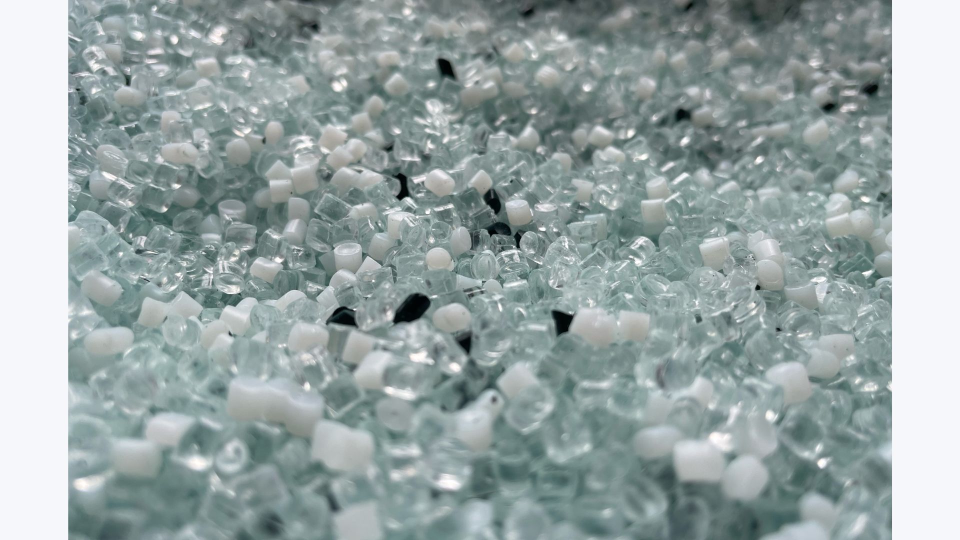Our bioplastic Our bioplastic