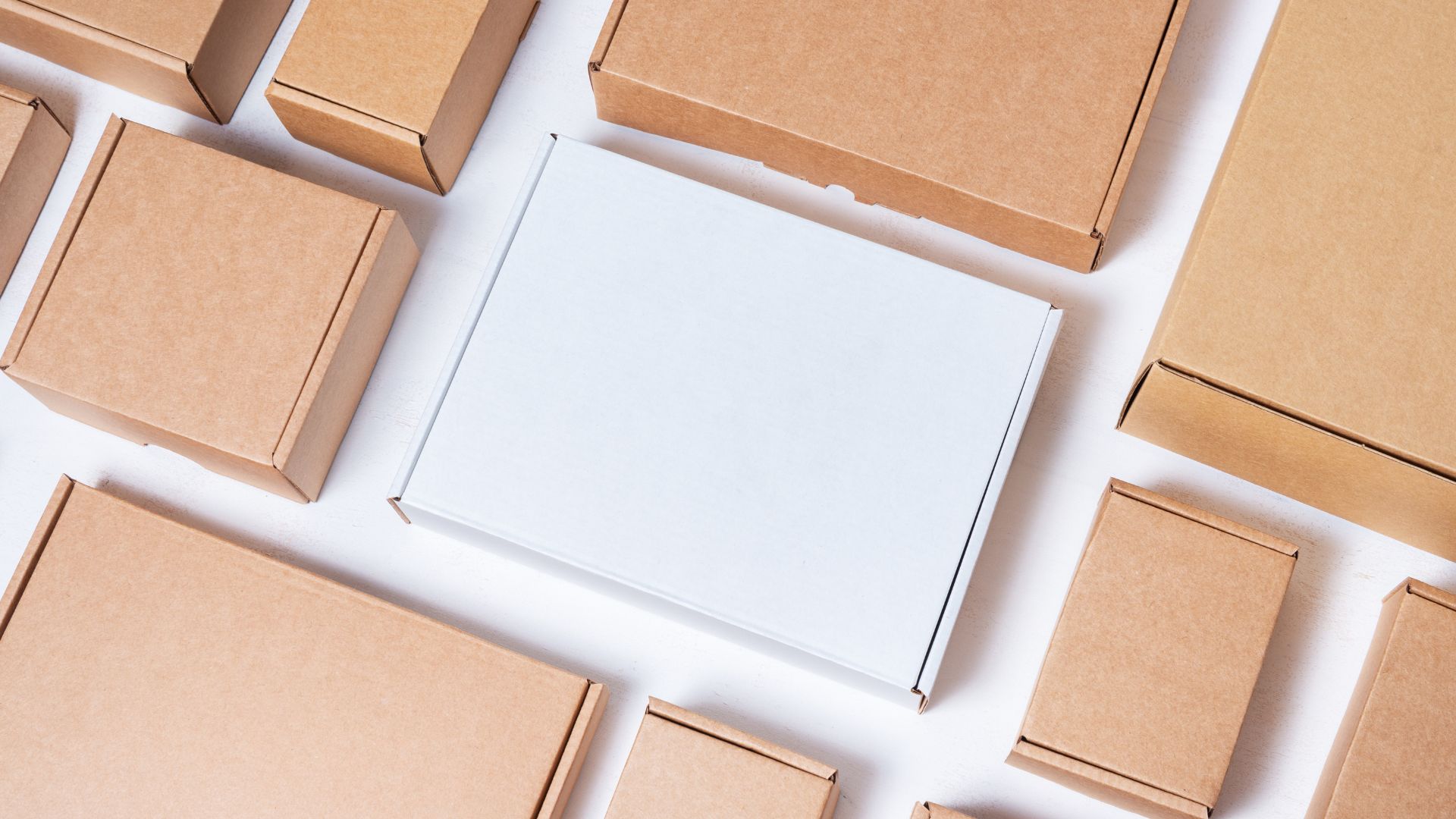 Packaging Act, the reasons: Packaging Act, the reasons:
