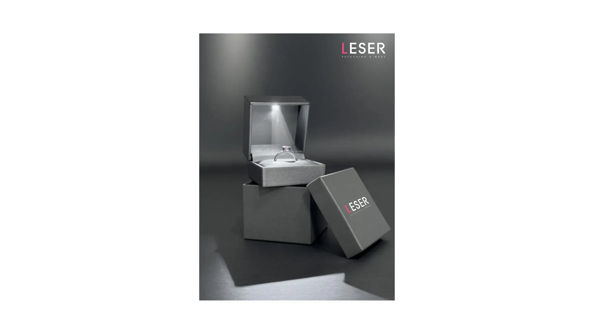 LESER catalogue